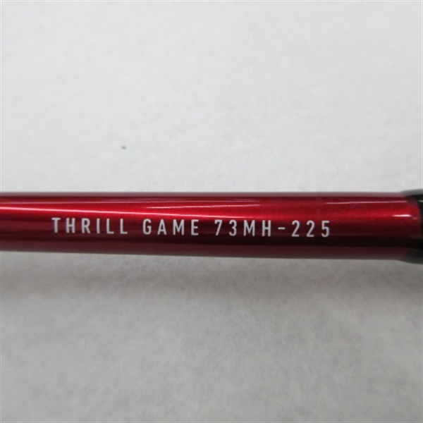 １９リーディングスリルゲーム７３ＭＨ－２２５